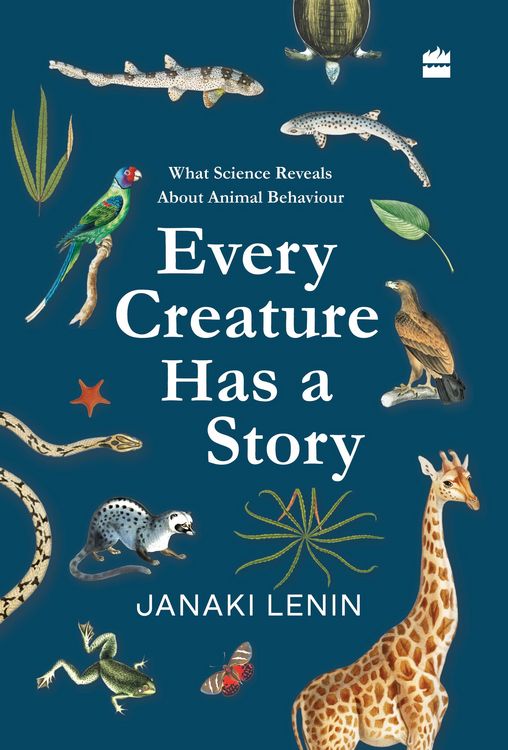 Produktbild: Every Creature Has a Story