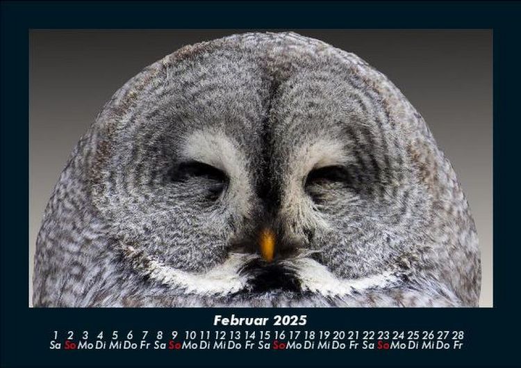 Produktbild: Vogelparadies 2025 Fotokalender DIN A5