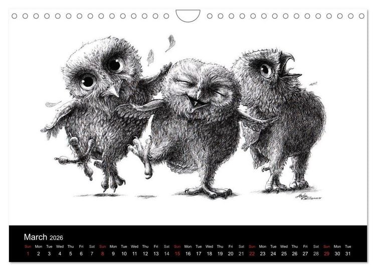 Produktbild: owls & friends 2026 (Wall Calendar 2026 DIN A4 landscape), CALVENDO 12 Month Wall Calendar