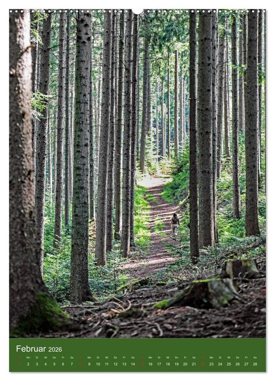 Produktbild: Schwarzwald Nord (Wandkalender 2026 DIN A2 hoch), CALVENDO Monatskalender