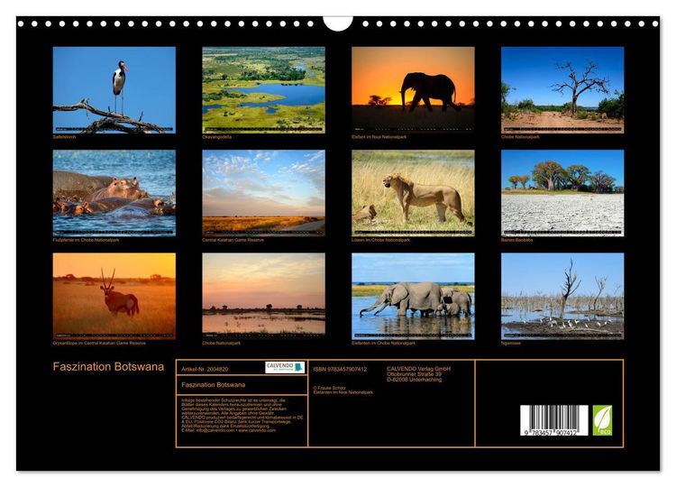 Produktbild: Faszination Botswana (Wandkalender 2026 DIN A3 quer), CALVENDO Monatskalender