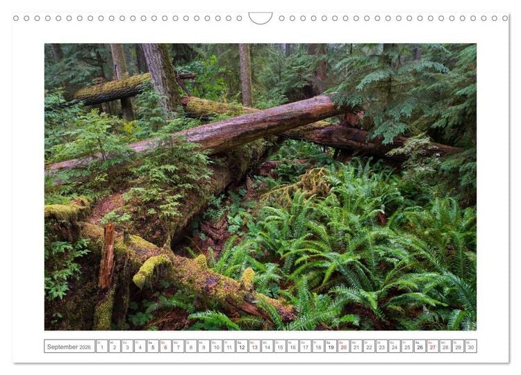Produktbild: Vancouver Island (Wandkalender 2026 DIN A3 quer), CALVENDO Monatskalender