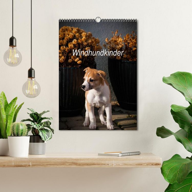 Produktbild: Windhundkinder (Wandkalender 2026 DIN A3 hoch), CALVENDO Monatskalender