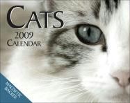 Produktbild: Cats