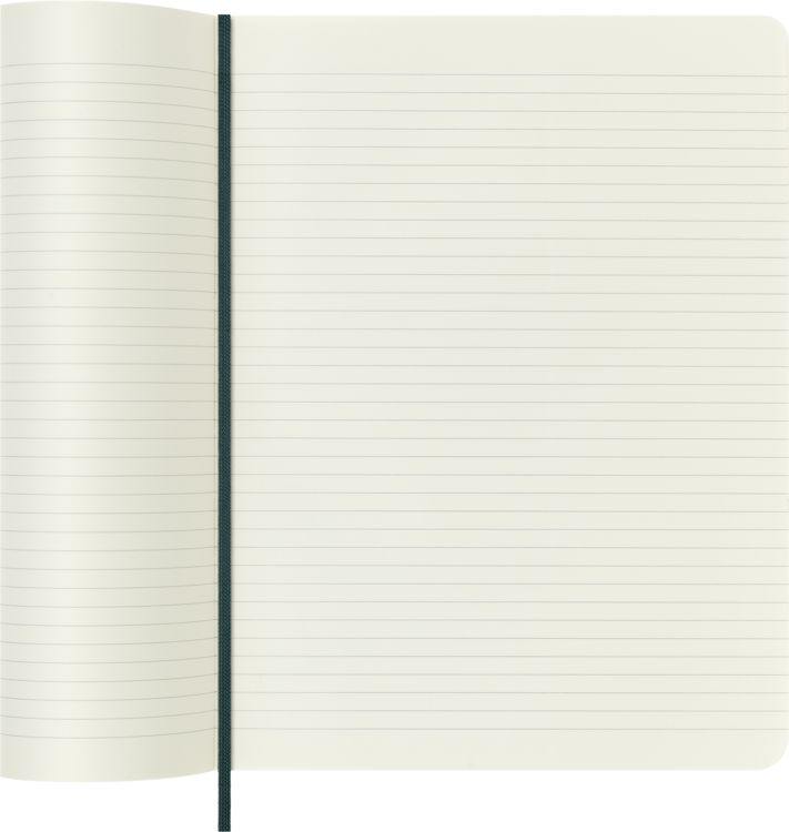 Produktbild: Moleskine Vegea Boa Notizbuch, XL, liniert, weicher Einband, gr&uuml;n, in Box