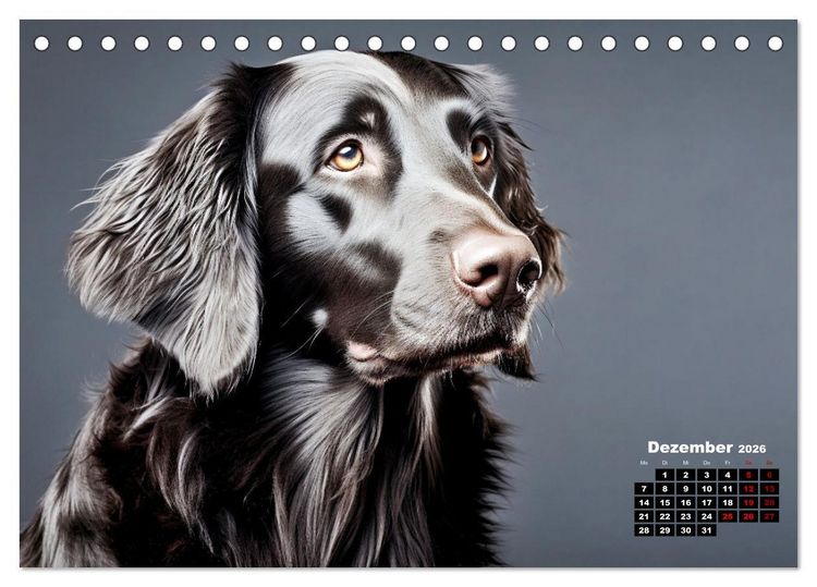 Produktbild: Only Black (Tischkalender 2026 DIN A5 quer), CALVENDO Monatskalender
