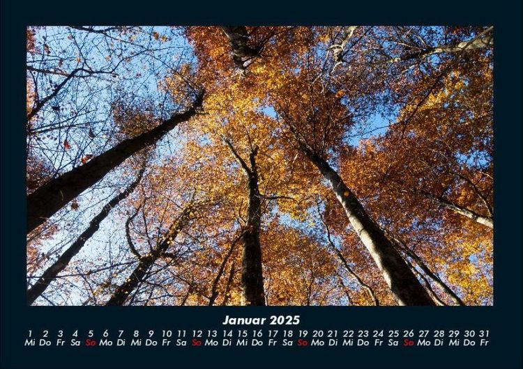 Produktbild: Waldzauber 2025 Fotokalender DIN A4