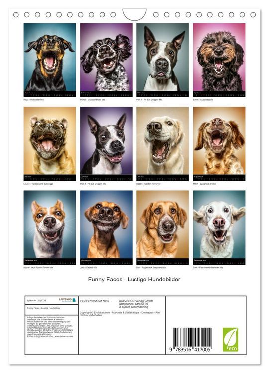 Produktbild: Funny Faces - Lustige Hundebilder (Wandkalender 2026 DIN A4 hoch), CALVENDO Monatskalender