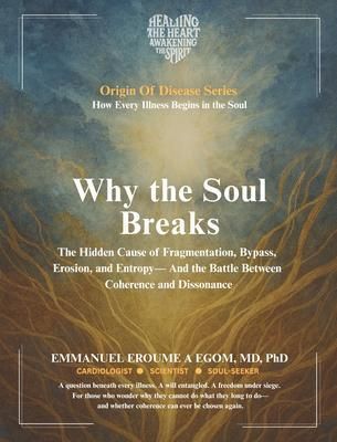 Produktbild: Why the Soul Breaks