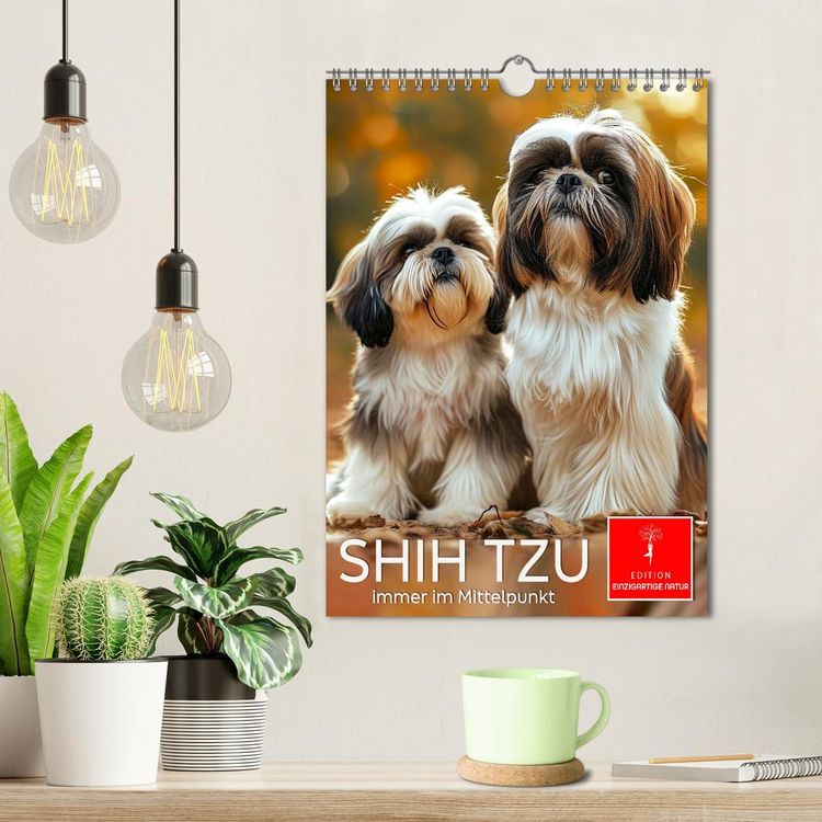 Produktbild: Shih Tzu - immer im Mittelpunkt (Wandkalender 2026 DIN A4 hoch), CALVENDO Monatskalender