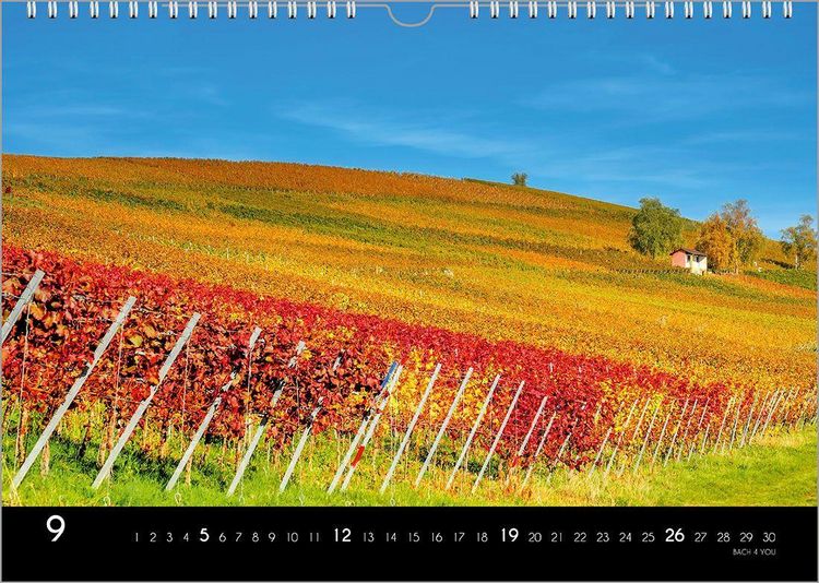 Produktbild: Der Weinkalender 2027, DIN A3 &ndash; ein Fotokalender