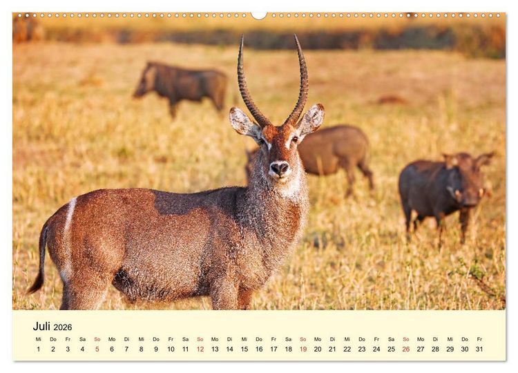 Produktbild: Traumhaftes Malawi (Wandkalender 2026 DIN A2 quer), CALVENDO Monatskalender