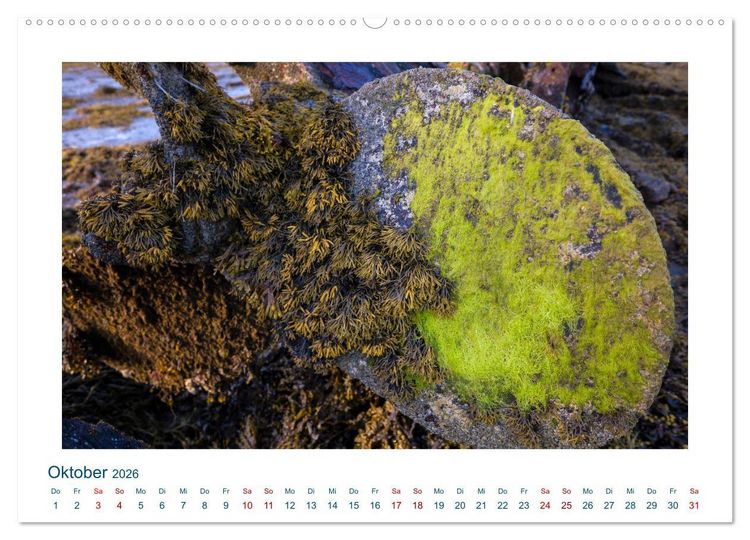 Produktbild: Faszination Schiffsfriedhof (Wandkalender 2026 DIN A2 quer), CALVENDO Monatskalender