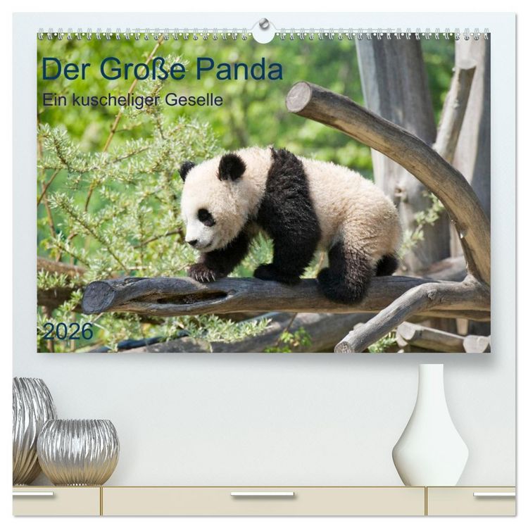 Produktbild: Der Gro&szlig;e Panda Ein kuscheliger Geselle (hochwertiger Premium Wandkalender 2026 DIN A2 quer), Kunstdruck in Hochglanz