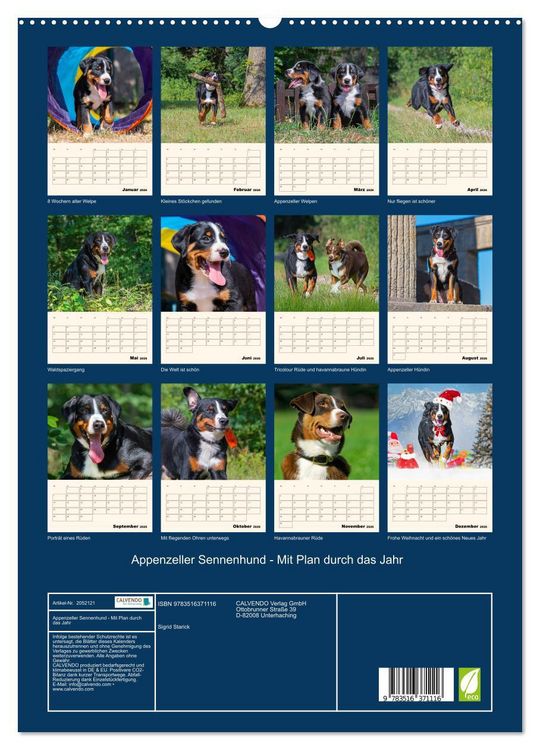 Produktbild: Appenzeller Sennenhund - Mit Plan durch das Jahr (hochwertiger Premium Wandkalender 2026 DIN A2 hoch), Kunstdruck in Hochglanz