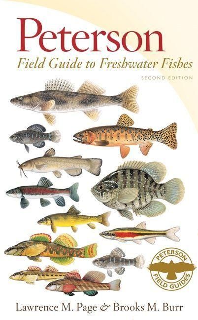 Produktbild: Peterson Field Guide to Freshwater Fishes, Second Edition