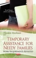 Produktbild: Temporary Assistance for Needy Families