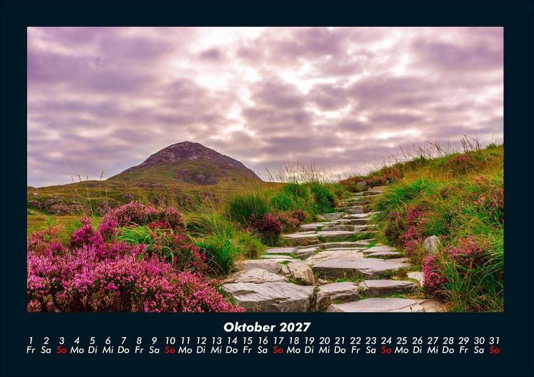 Produktbild: Blumenkalender 2027 Fotokalender DIN A4