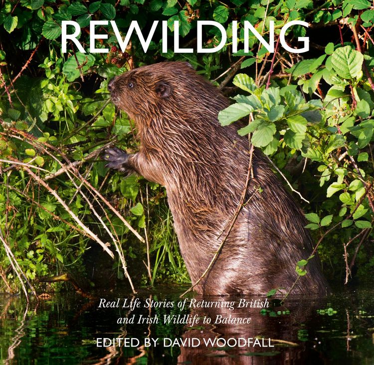 Produktbild: Rewilding