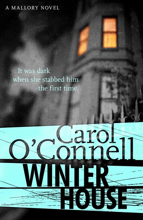 Produktbild: Winter House
