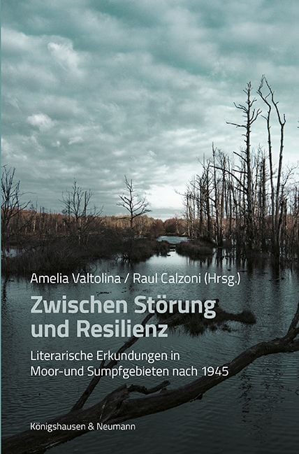 Produktbild: Zwischen St&ouml;rung und Resilienz
