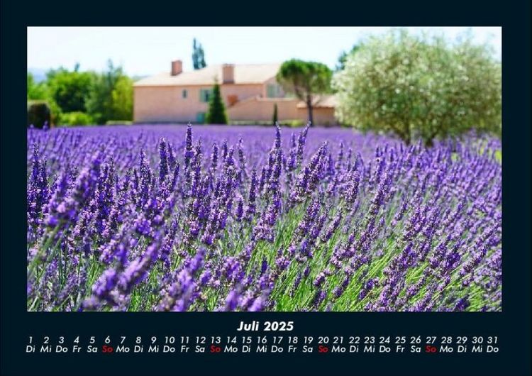 Produktbild: Blumentr&auml;ume 2025 Fotokalender DIN A4