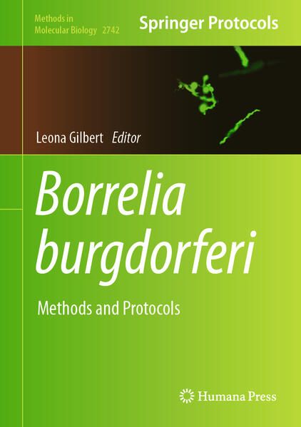 Produktbild: Borrelia burgdorferi