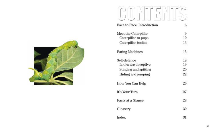 Produktbild: Nat Geo Reader Caterpillars