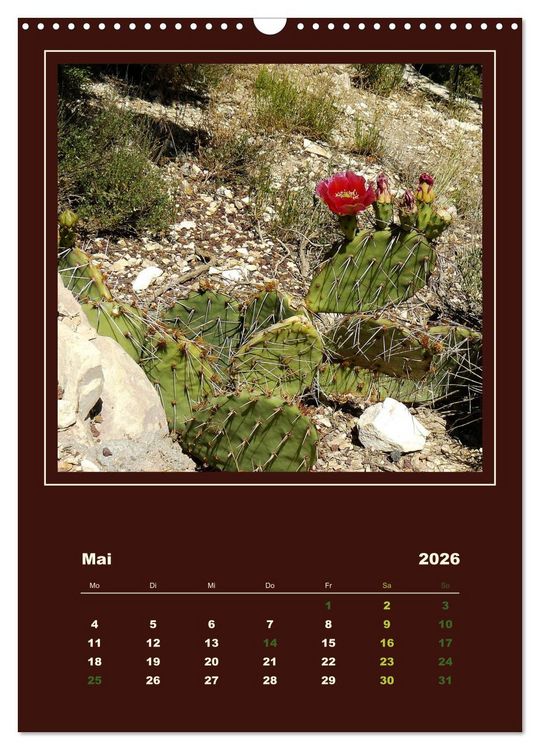 Produktbild: Wilde Kakteen Amerikas (Wandkalender 2026 DIN A3 hoch), CALVENDO Monatskalender