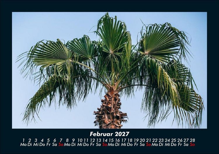 Produktbild: Palmentraum 2027 Fotokalender DIN A5