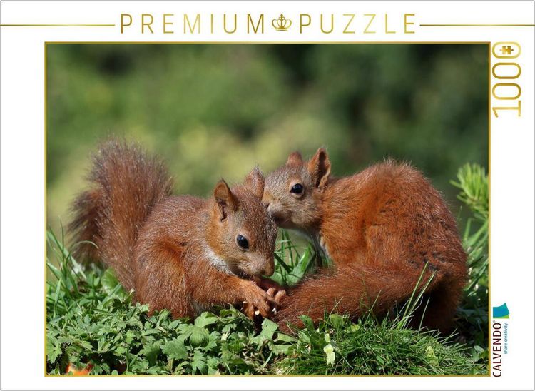 Produktbild: CALVENDO Puzzle Jacky und Jack | 1000 Teile Lege-Gr&ouml;&szlig;e 64x48cm Foto-Puzzle f&uuml;r gl&uuml;ckliche Stunden