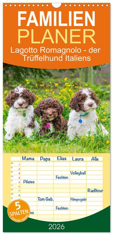 Produktbild: Familienplaner 2026 - Lagotto Romagnolo - der Tr&uuml;ffelhund Italiens mit 5 Spalten (Wandkalender, 21 x 45 cm) CALVENDO