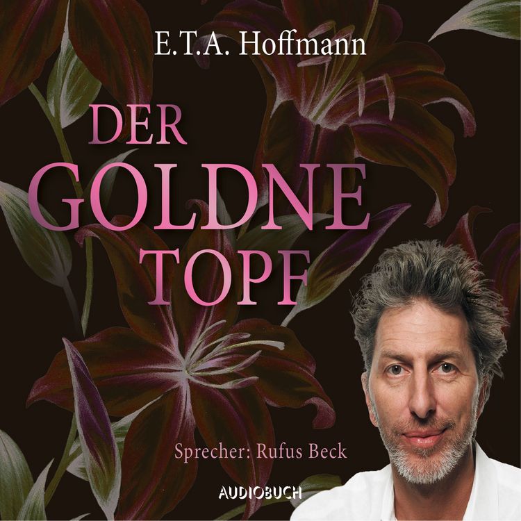 Produktbild: Der goldne Topf
