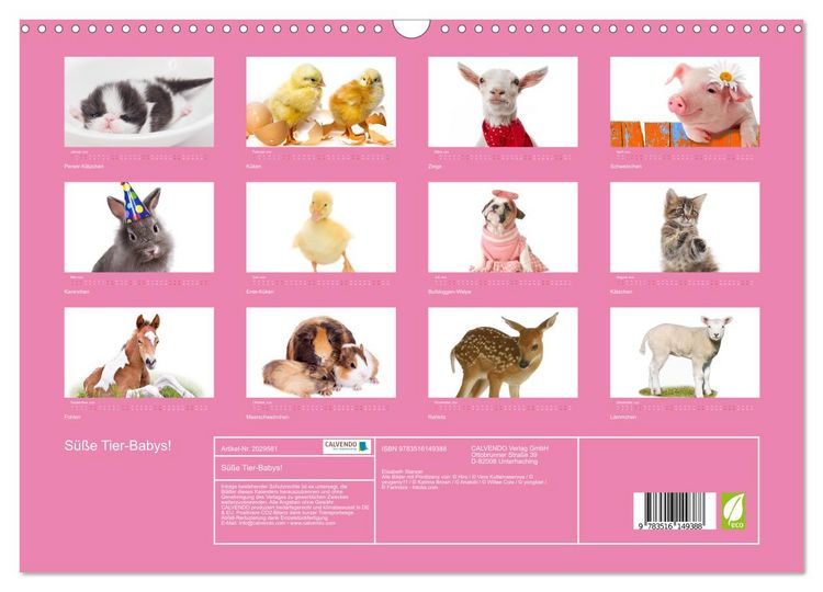 Produktbild: S&uuml;&szlig;e Tier-Babys! (Wandkalender 2026 DIN A3 quer), CALVENDO Monatskalender