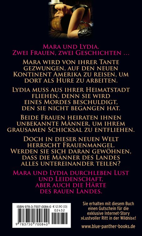 Produktbild: Die harte Lust des wilden Westens | Erotische Geschichten