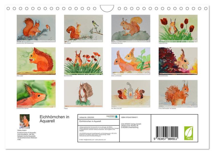 Produktbild: Eichh&ouml;rnchen in Aquarell (Wandkalender 2026 DIN A4 quer), CALVENDO Monatskalender