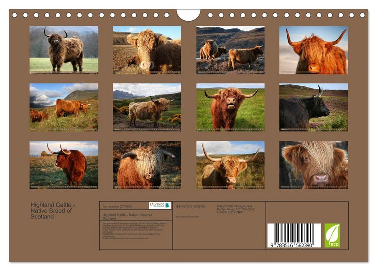 Produktbild: Highland Cattle - Native Breed of Scotland (Wall Calendar 2026 DIN A4 landscape), CALVENDO 12 Month Wall Calendar