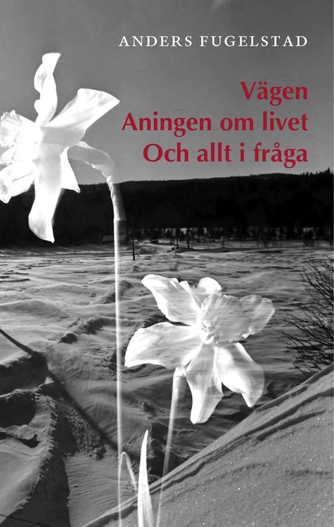 Produktbild: V&auml;gen Aningen om livet Och allt i fr&aring;ga