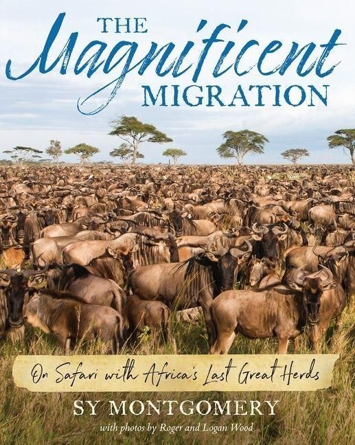 Produktbild: The Magnificent Migration
