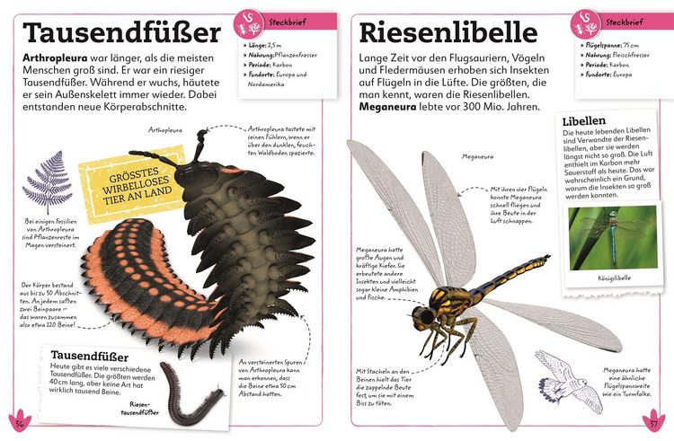 Produktbild: Dinosaurier