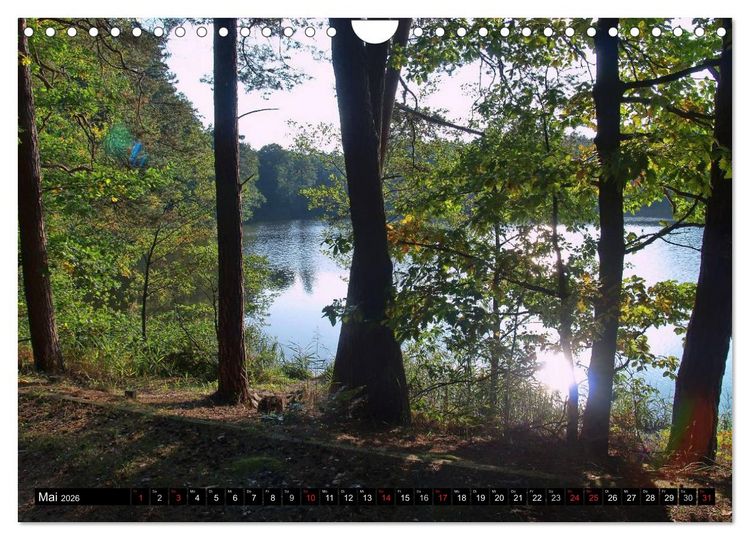 Produktbild: Brandenburg'sche Impressionen (Wandkalender 2026 DIN A4 quer), CALVENDO Monatskalender