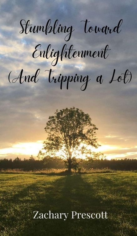 Produktbild: Stumbling Toward Enlightenment (And Tripping a Lot)