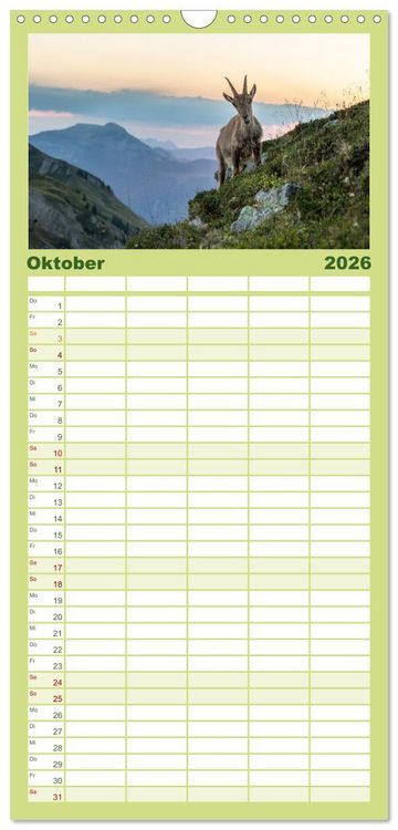 Produktbild: Familienplaner 2026 - Steinbock - K&ouml;nig der Alpen mit 5 Spalten (Wandkalender, 21 x 45 cm) CALVENDO