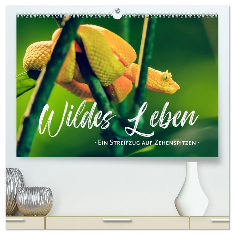 Produktbild: Wildes Leben - Ein Streifzug auf Zehenspitzen (hochwertiger Premium Wandkalender 2026 DIN A2 quer), Kunstdruck in Hochglanz
