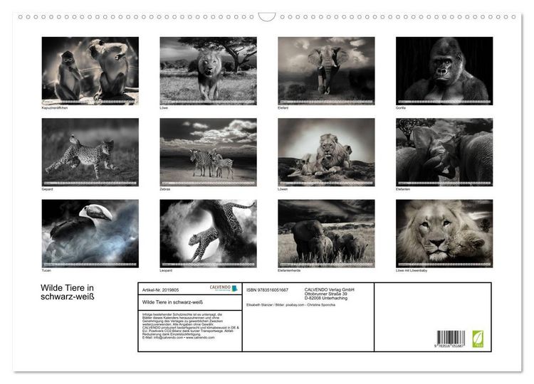 Produktbild: Wilde Tiere in schwarz-wei&szlig; (Wandkalender 2026 DIN A2 quer), CALVENDO Monatskalender