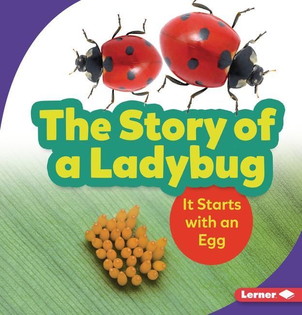 Produktbild: The Story of a Ladybug