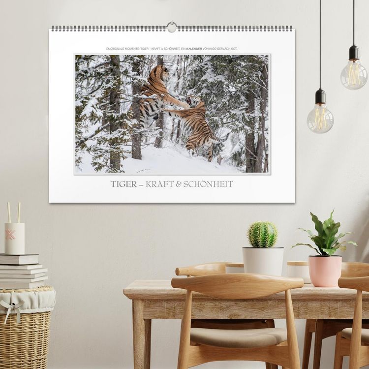 Produktbild: Emotionale Momente: Tiger - Kraft & Sch&ouml;nheit. / CH-Version (Wandkalender 2026 DIN A2 quer), CALVENDO Monatskalender
