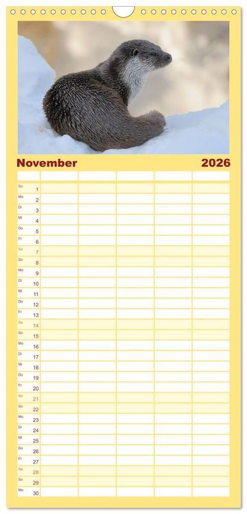 Produktbild: Familienplaner 2026 - Fischotter, flinke J&auml;ger mit 5 Spalten (Wandkalender, 21 x 45 cm) CALVENDO