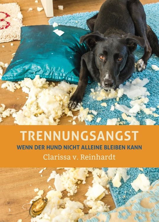 Produktbild: Trennungsangst
