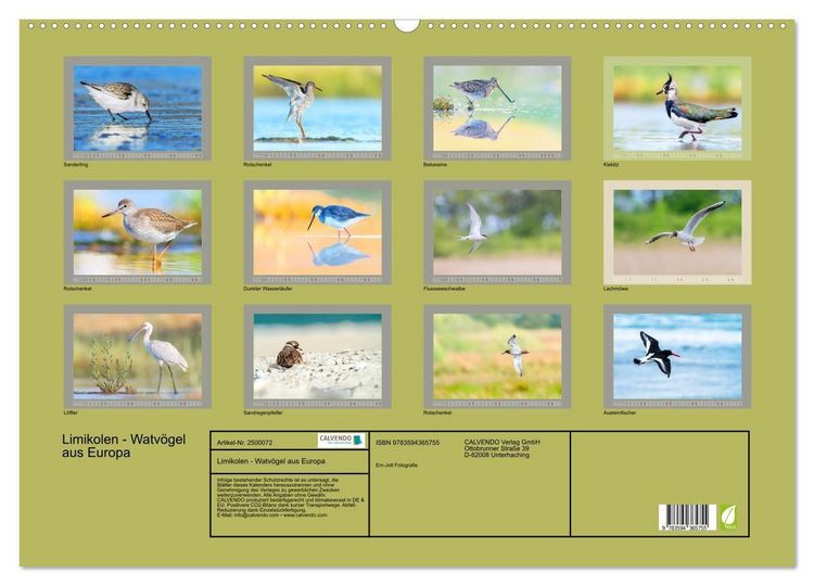 Produktbild: Limikolen - Watv&ouml;gel aus Europa (Wandkalender 2027 DIN A2 quer), CALVENDO Monatskalender